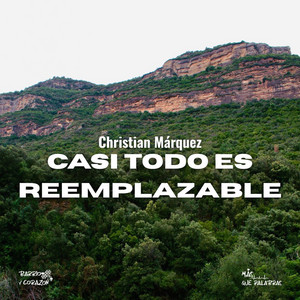 casi todo es reemplazable by Christian Márquez