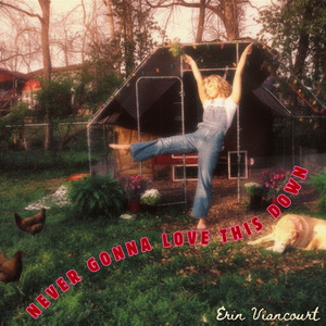 Never Gonna Love This Down by Erin Viancourt