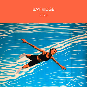 Youval ziso - Bay Ridge