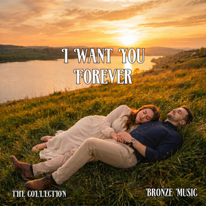 I Want You Now Even If It's Wrong by Bronze Music