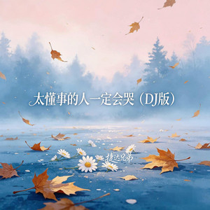 太懂事的人一定会哭 - Dj版 by 捷达兄弟, 阿雨