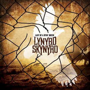 1991 - Album by Lynyrd Skynyrd | Spotify