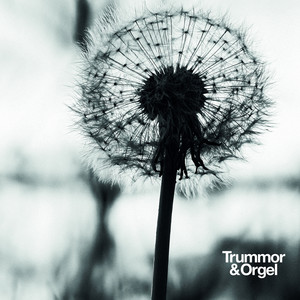 Murmurations by Trummor & Orgel