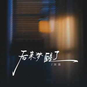后来梦醒了 by 田园