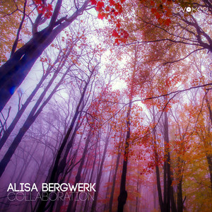 Alisa Bergwerk