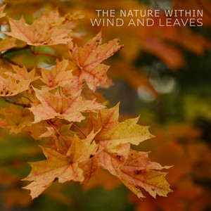 Wind and Leaves by The Nature Within