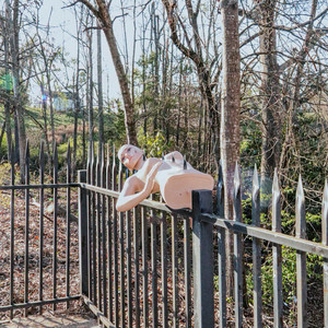 On the Fence by Arnie Brenn