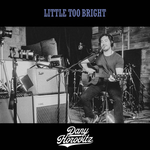 Little Too Bright by Dany Horovitz