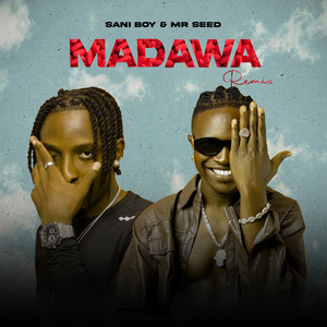 Madawa - Remix by Sani Boy, Mr Seed