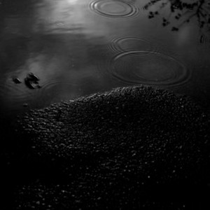 Mist Mist Mist by Rainora