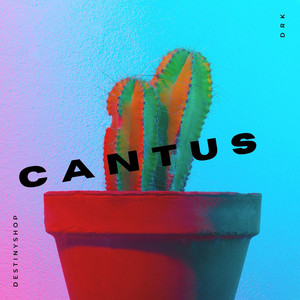 Cantus by Destinyshop