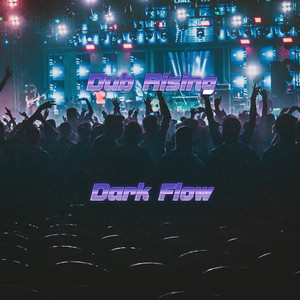 Dark Flow by Dub Rising