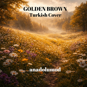anatolianturkishrhythms - GOLDEN BROWN (Turkish Cover)