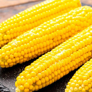 Vivid The Producer - Slob On My Knob