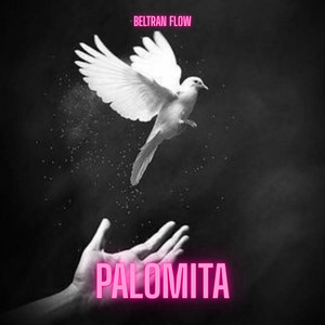 palomita by Beltran flow