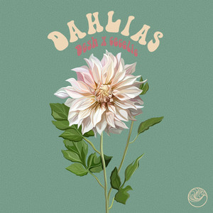 Dahlias by c e c e l i e, DESH