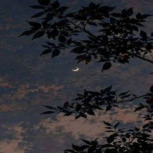 It's My Life by Irom G.