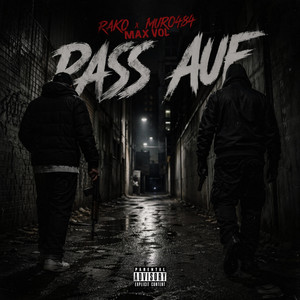 Pass auf by Rako, Muro484, Max Vol
