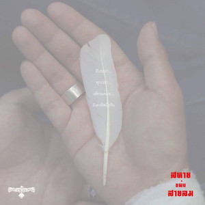 สหายแห่งสายลม poster