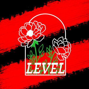 LEVEL