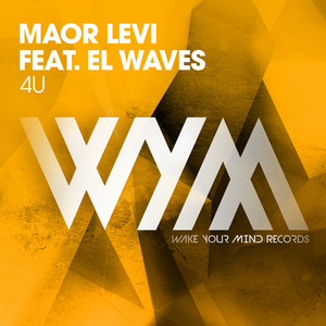 4U by Maor Levi cover art
