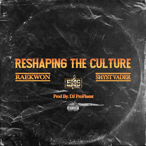 Reshaping The Culture by Raekwon, Shyst Vader