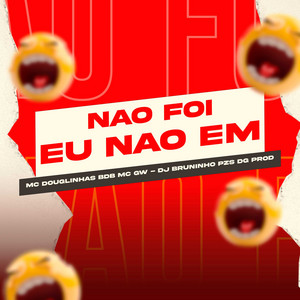 Mc Douglinhas BDB, Dj Bruninho Pzs & MC GW - Não Foi Eu Não em