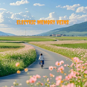 Sea South - Electric Memory Veins