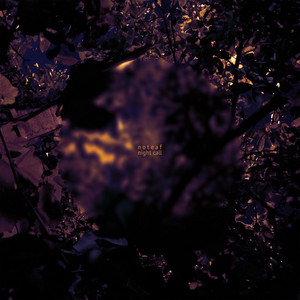 noteaf — Night Call