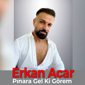 Erkan Acar - Pınara Gel Ki Görem
