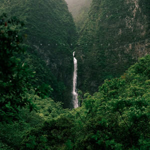 Waterfalls by Willingness, Tori Kurtz