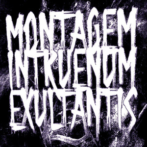 DJ PILASTULOSYP25 - MONTAGEM INTRUENUM EXULTANTIS (Slowed)