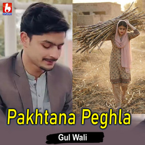 Gul Wali - Pakhtana Peghla