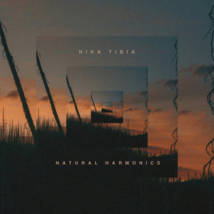 Natural Harmonics by Nika Tibia