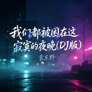 我们都被困在这寂寞的夜晚 - DJ版 by 袁东野