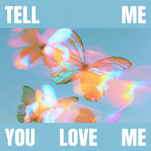 Tell Me You Love Me by buddyonthebeach