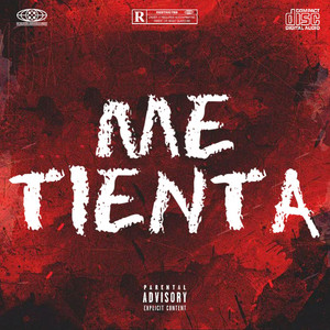 Me Tienta by Platinum music
