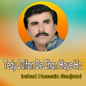 Irshad Hussain Sanjrani - Tedy Zulfain De Chan Hoye Ha