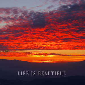 LIFE IS BEAUTIFUL by Bluebird Queen, Super Sloth Man