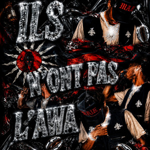 ILS N’ONT PAS L’AWA ! by DVCA$H LE RAPPEUR