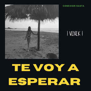 Te Voy A Esperar by Venek