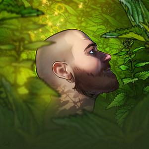 krapyvnytskyi — Botany