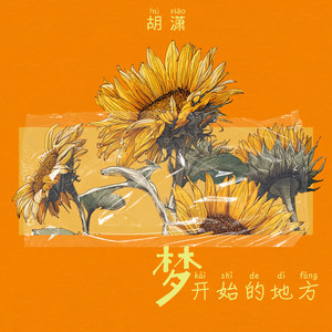 胡潇 poster