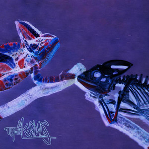 Chameleon by The Moguls