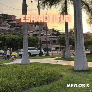 Esa Actitud by Meylor K