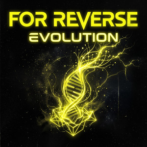 Colorful by For Reverse