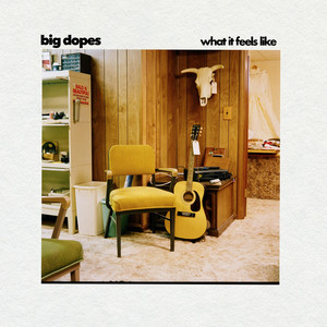 What It Feels Like by Big Dopes