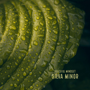 Peaceful Mindset by Silva Minor