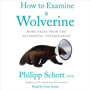 How to Examine a Wolverine [More Tales from the Accidental Veterinarian (Unabridged)]
