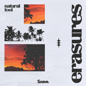 Erasures by Natural Fool